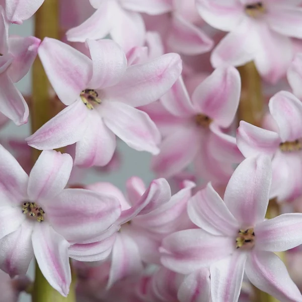 壹号娱乐百家乐游戏